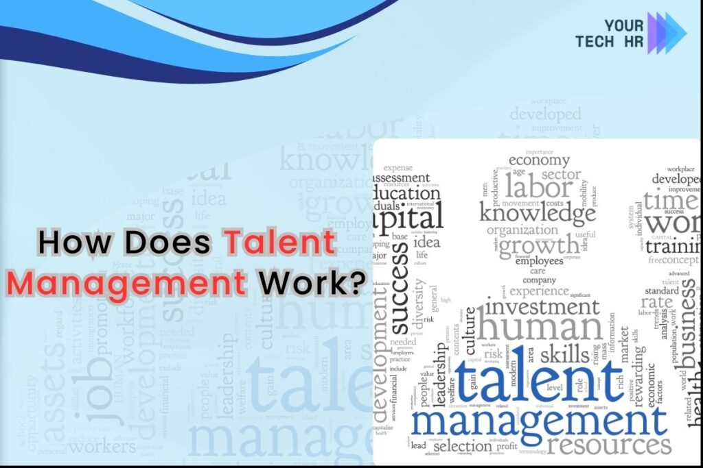 Understanding How Talent Management Works for Organizational Success